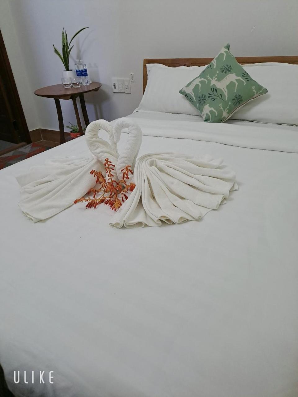Cong Man Homestay Cham Island 호이안 외부 사진